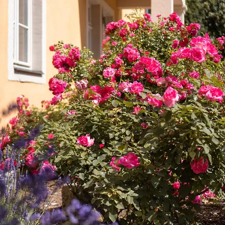 Albergo-toscana מלון באד שאנדאו